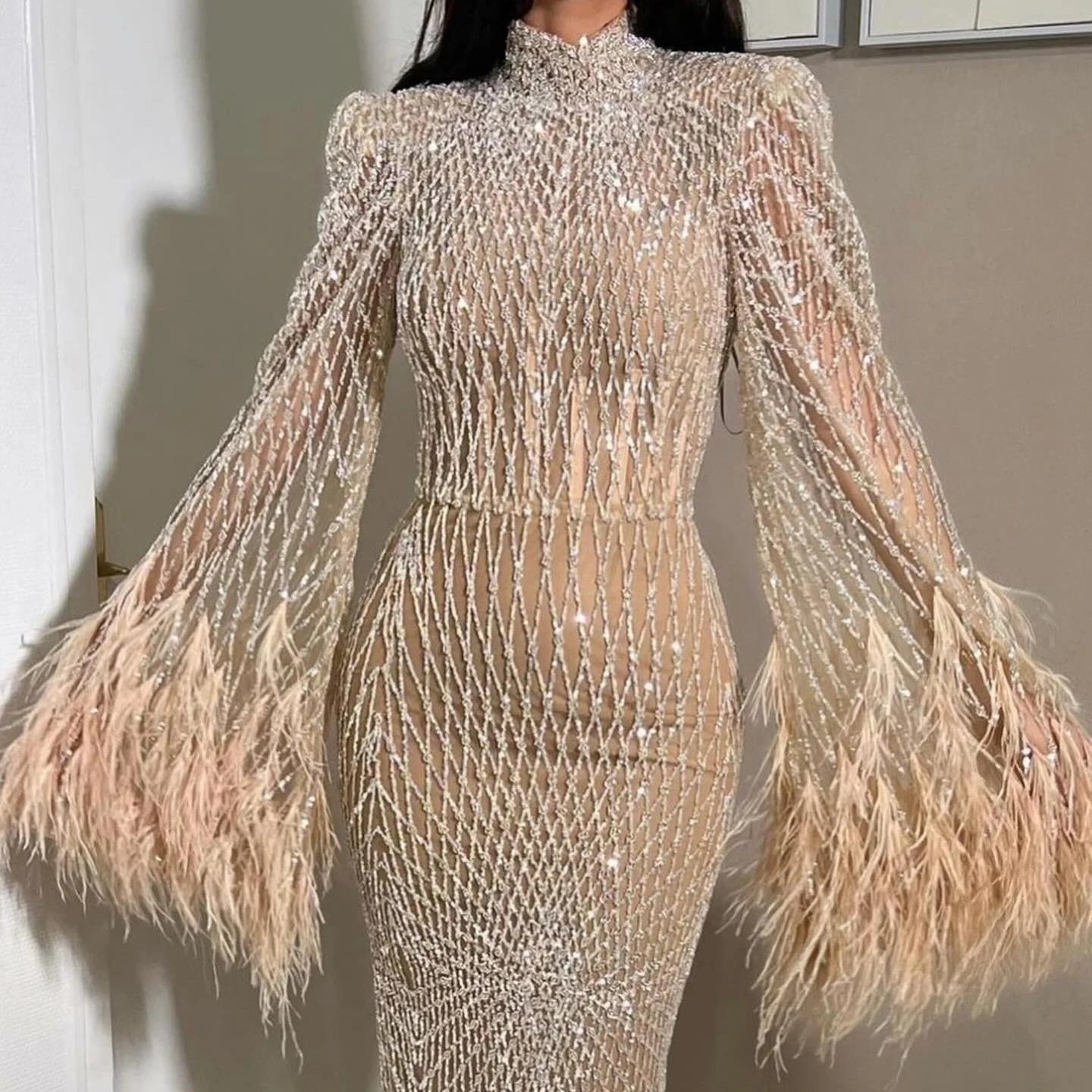 Feathers Nude Evening Dresses Long Sleeves Elegant High Neck